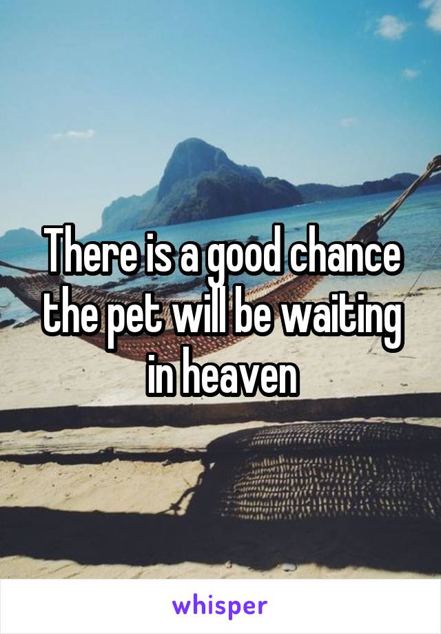 There is a good chance the pet will be waiting in heaven