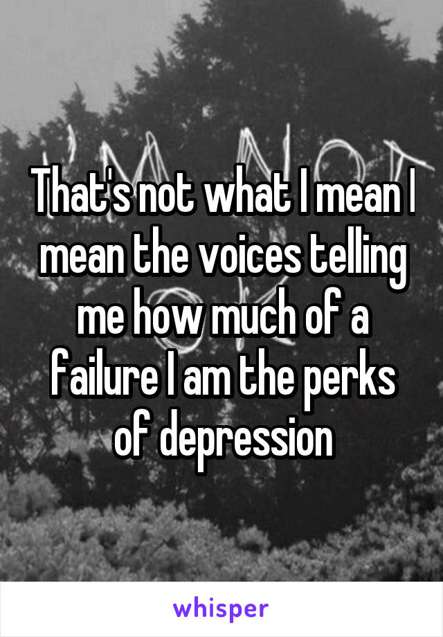 That's not what I mean I mean the voices telling me how much of a failure I am the perks of depression