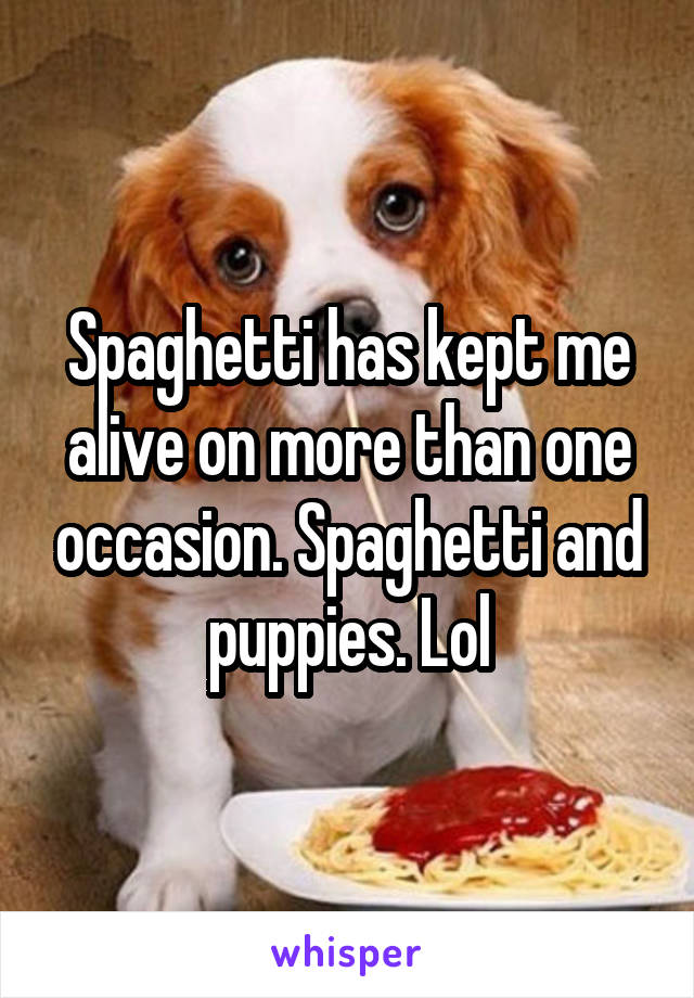 Spaghetti has kept me alive on more than one occasion. Spaghetti and puppies. Lol