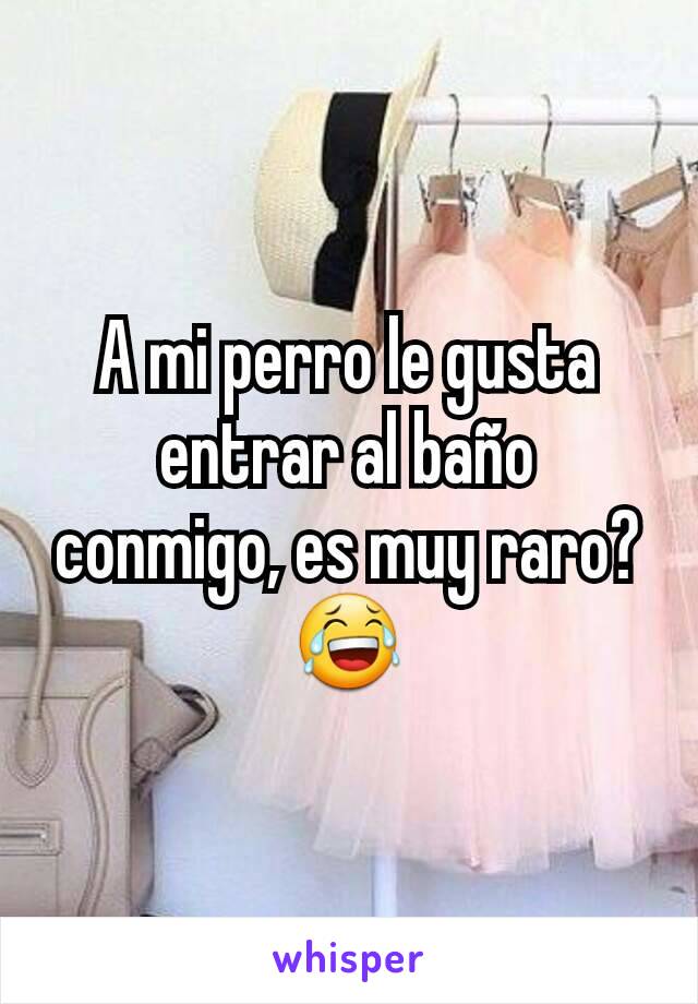 A mi perro le gusta entrar al baño conmigo, es muy raro? 😂