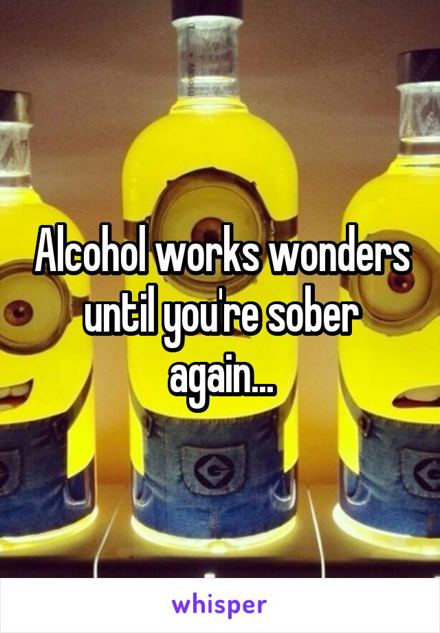 Alcohol works wonders until you're sober again...