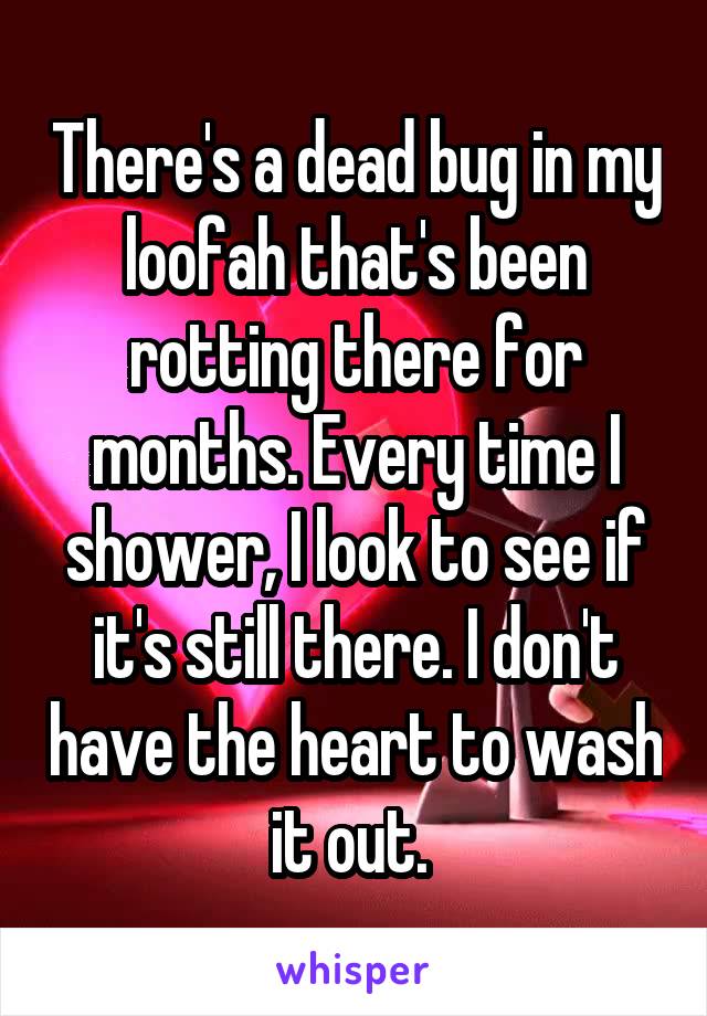 There's a dead bug in my loofah that's been rotting there for months. Every time I shower, I look to see if it's still there. I don't have the heart to wash it out. 