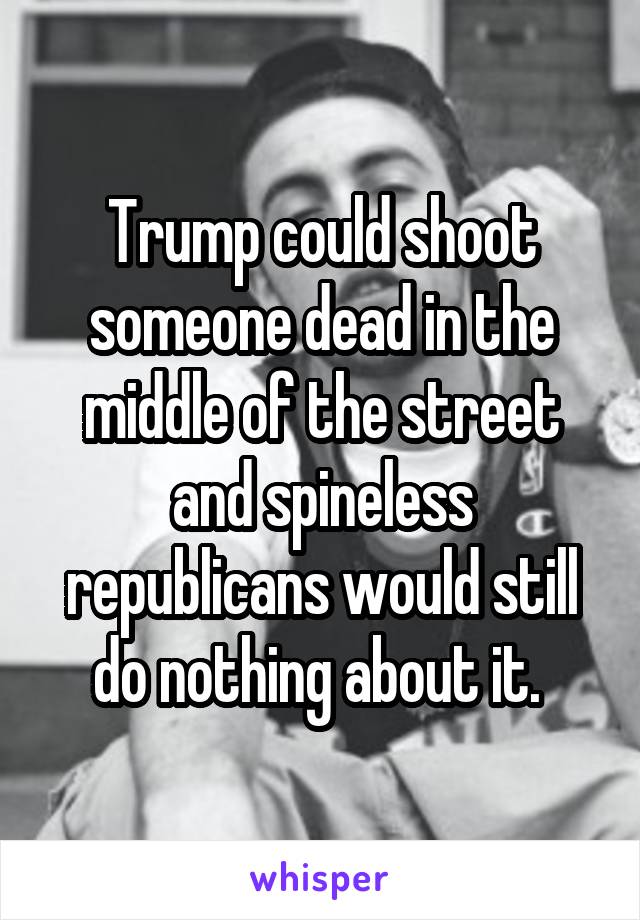 Trump could shoot someone dead in the middle of the street and spineless republicans would still do nothing about it. 