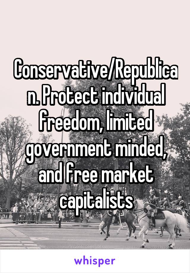 Conservative/Republican. Protect individual freedom, limited government minded, and free market capitalists