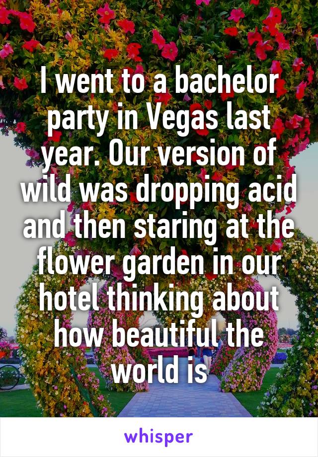 I went to a bachelor party in Vegas last year. Our version of wild was dropping acid and then staring at the flower garden in our hotel thinking about how beautiful the world is