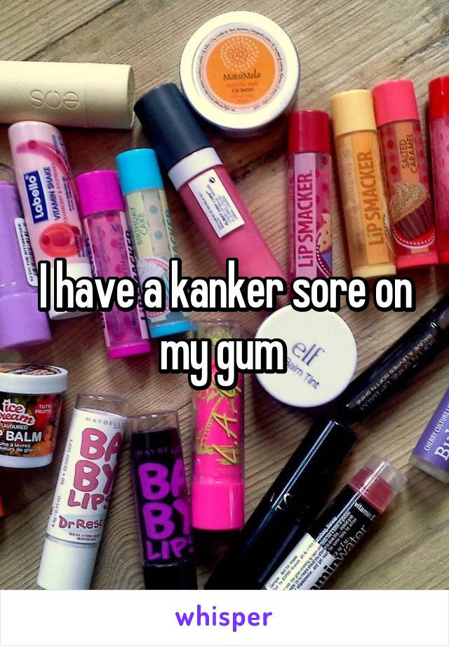 I have a kanker sore on my gum 