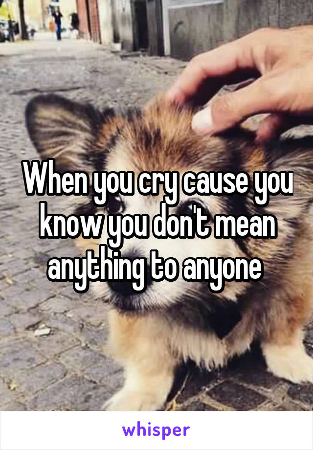 When you cry cause you know you don't mean anything to anyone 