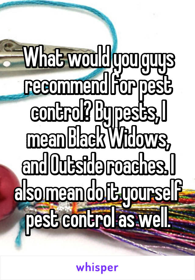 What would you guys recommend for pest control? By pests, I mean Black Widows, and Outside roaches. I also mean do it yourself pest control as well.