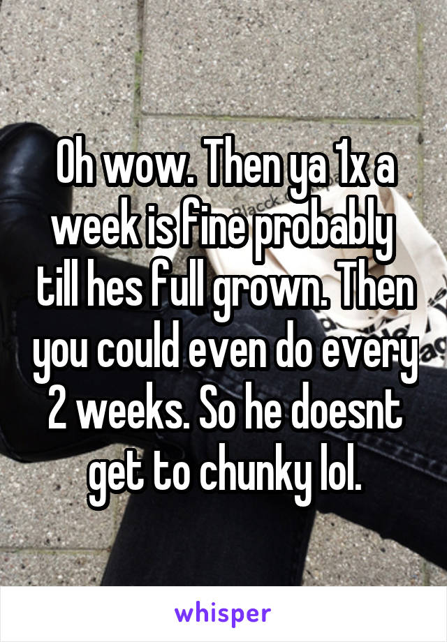 Oh wow. Then ya 1x a week is fine probably  till hes full grown. Then you could even do every 2 weeks. So he doesnt get to chunky lol.