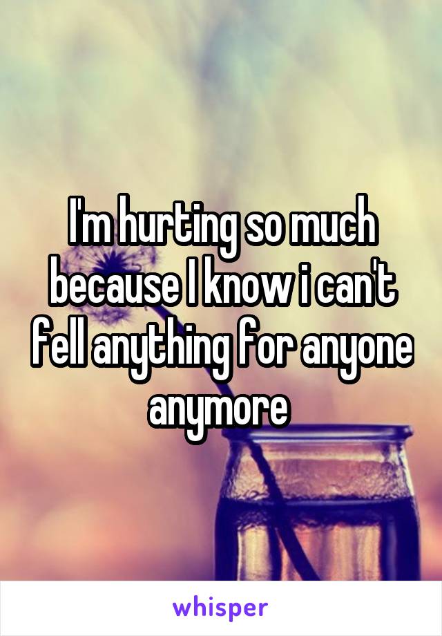 I'm hurting so much because I know i can't fell anything for anyone anymore 