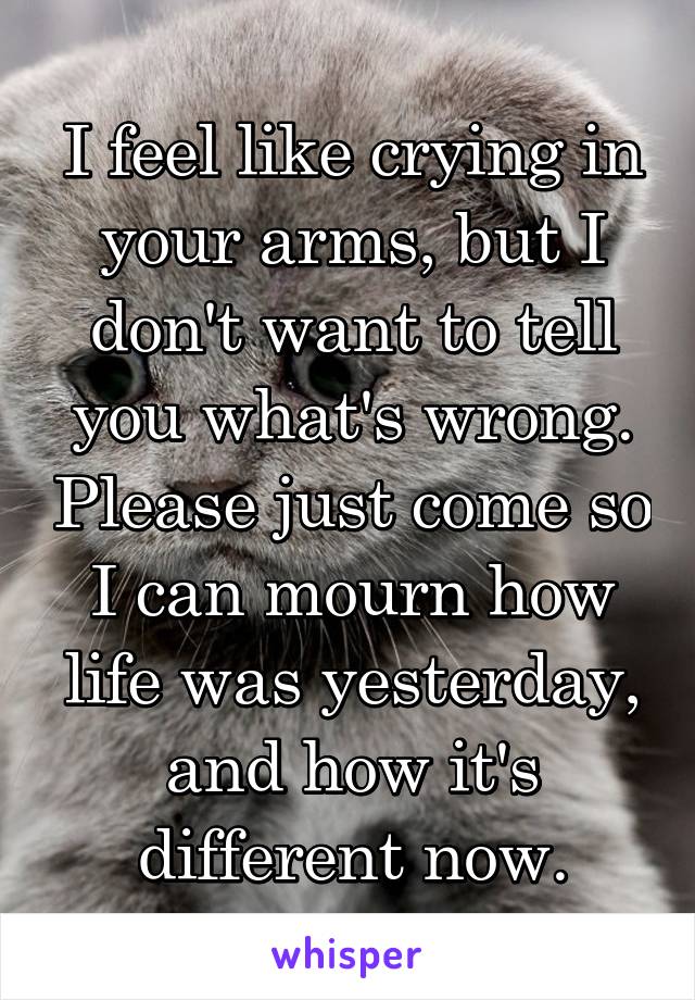 I feel like crying in your arms, but I don't want to tell you what's wrong. Please just come so I can mourn how life was yesterday, and how it's different now.