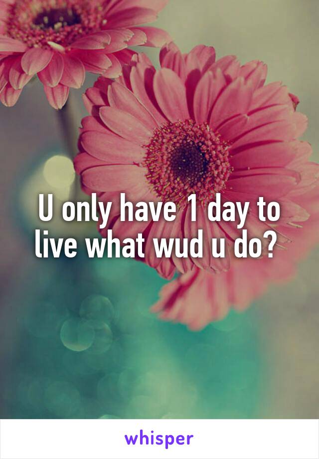 U only have 1 day to live what wud u do? 