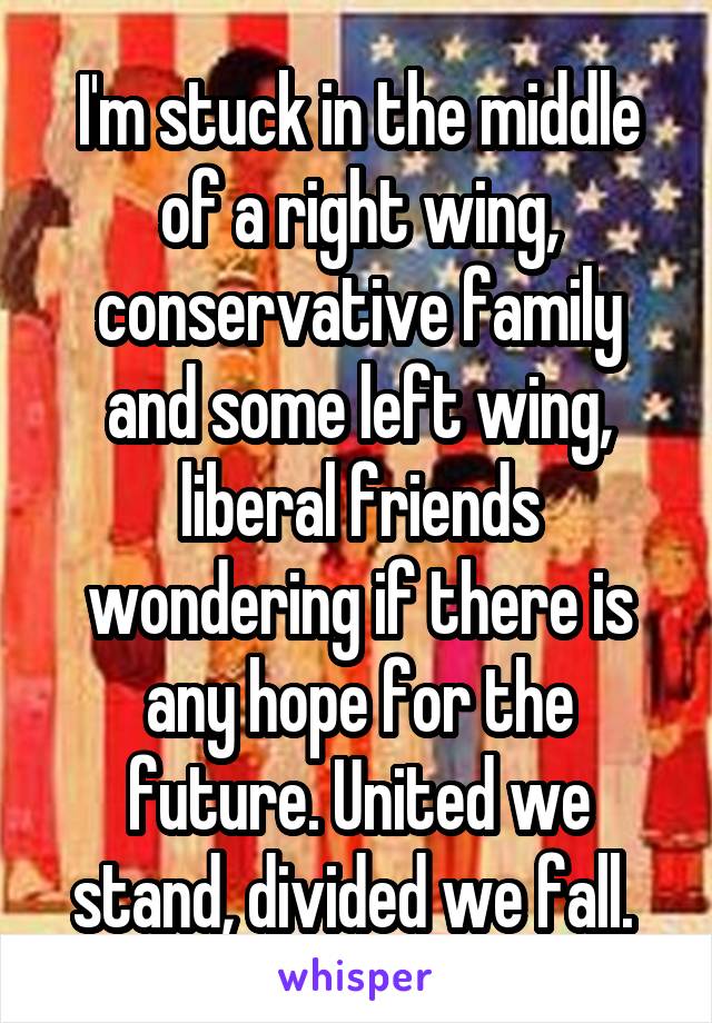 I'm stuck in the middle of a right wing, conservative family and some left wing, liberal friends wondering if there is any hope for the future. United we stand, divided we fall. 