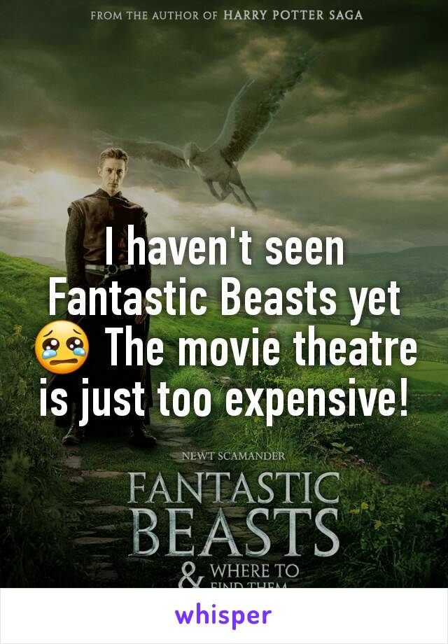 I haven't seen Fantastic Beasts yet 😢 The movie theatre is just too expensive!