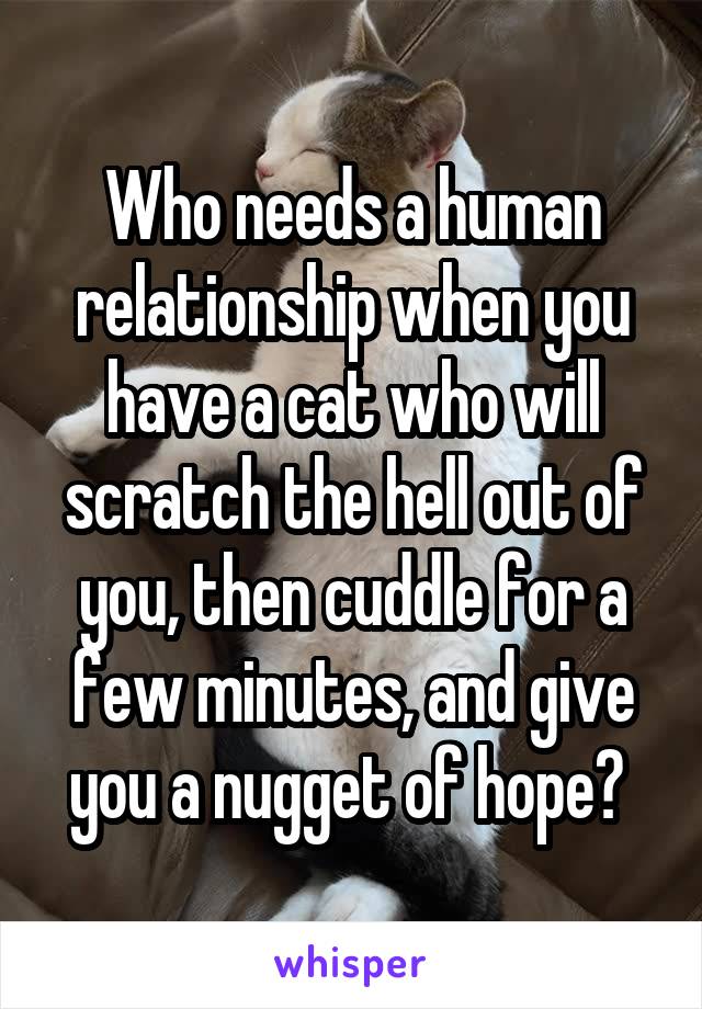 Who needs a human relationship when you have a cat who will scratch the hell out of you, then cuddle for a few minutes, and give you a nugget of hope? 