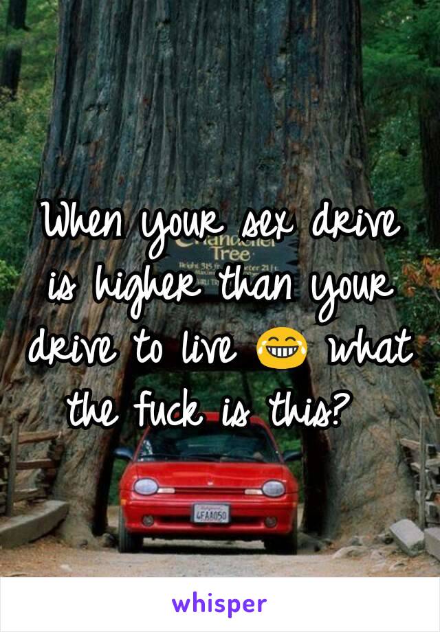 When your sex drive is higher than your drive to live 😂 what the fuck is this? 