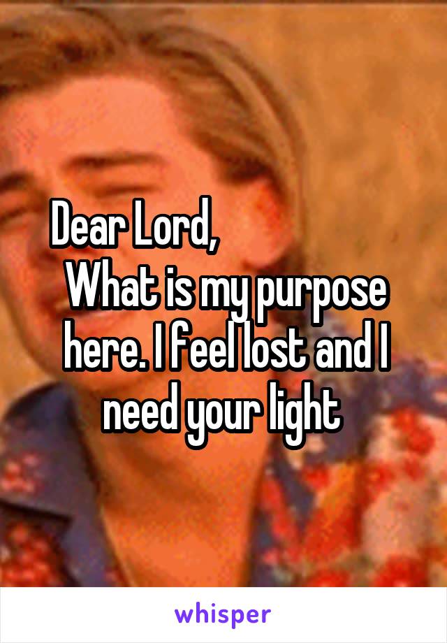 Dear Lord,                       What is my purpose here. I feel lost and I need your light 