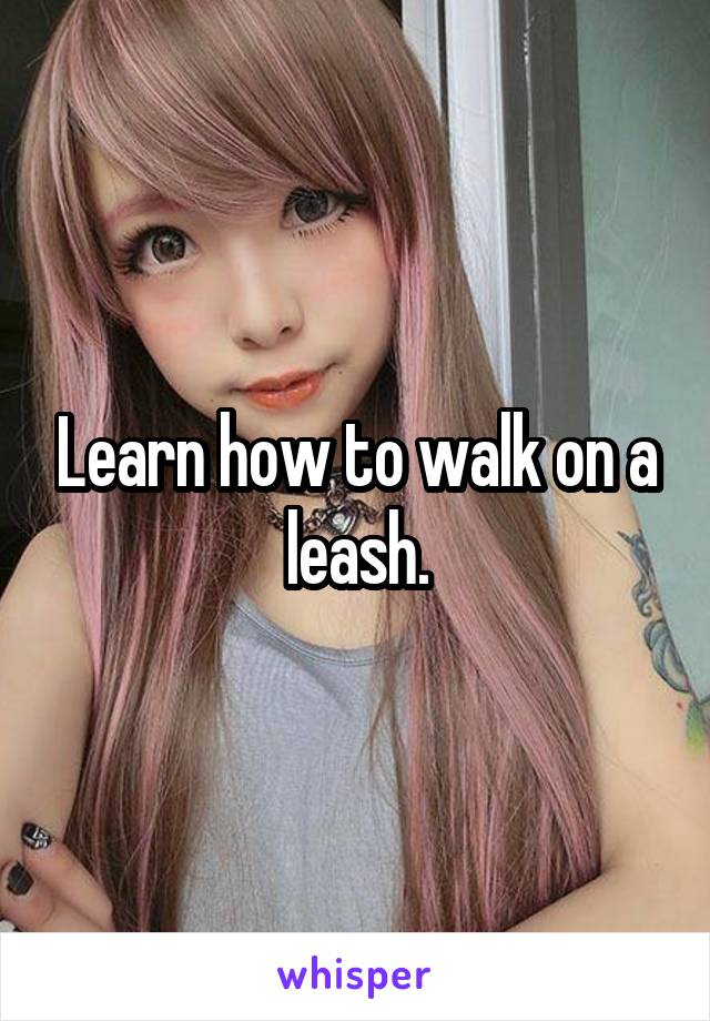 Learn how to walk on a leash.