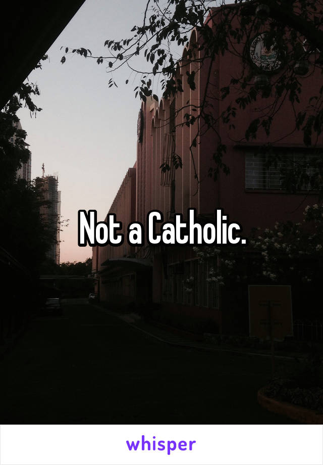 Not a Catholic.