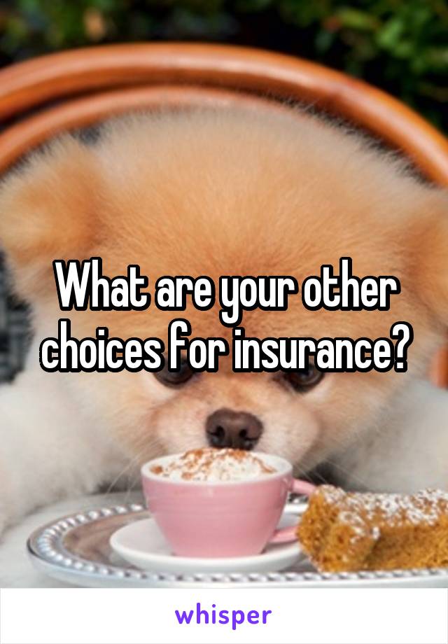 What are your other choices for insurance?