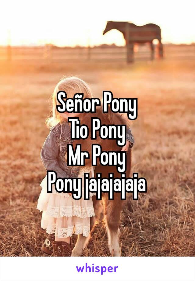 Señor Pony
Tio Pony
Mr Pony
Pony jajajajaja