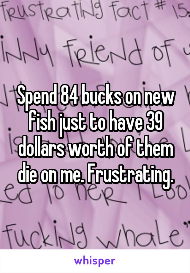 Spend 84 bucks on new fish just to have 39 dollars worth of them die on me. Frustrating.