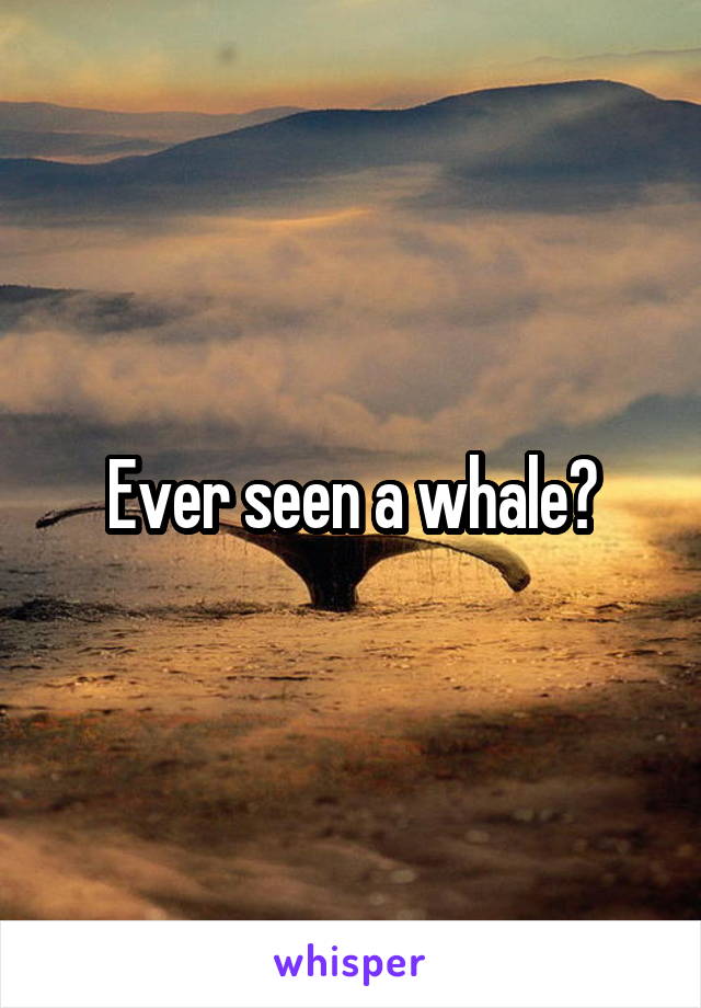 Ever seen a whale?