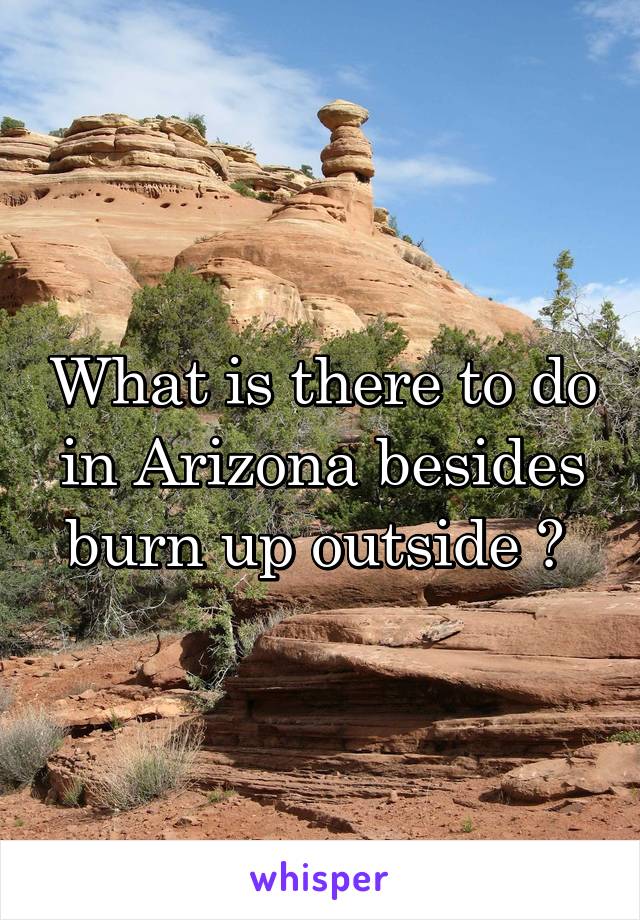 What is there to do in Arizona besides burn up outside ? 