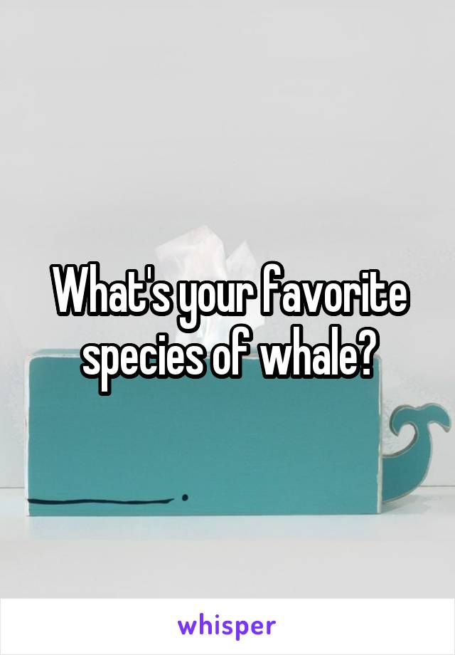 What's your favorite species of whale?