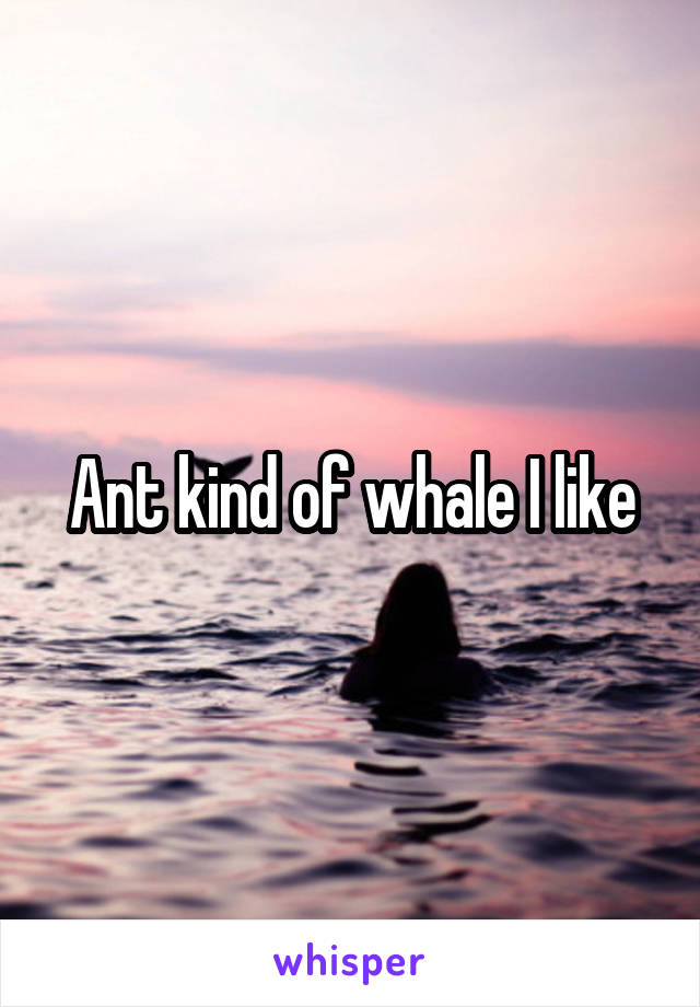 Ant kind of whale I like