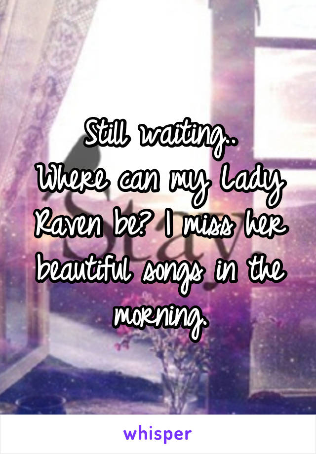 Still waiting..
Where can my Lady Raven be? I miss her beautiful songs in the morning.