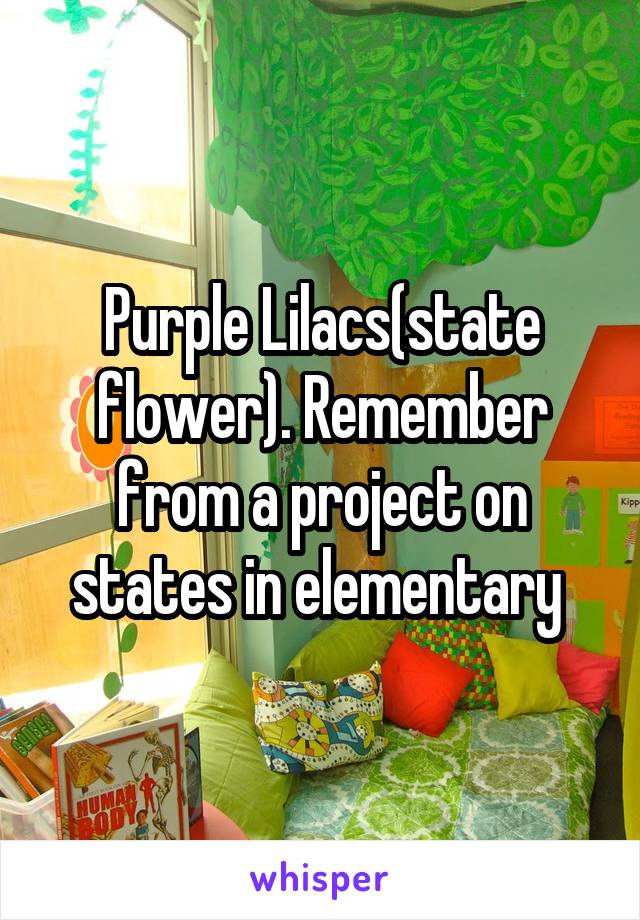 Purple Lilacs(state flower). Remember from a project on states in elementary 