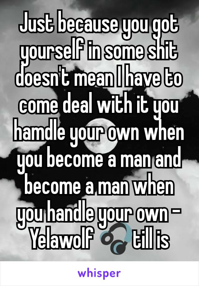 Just because you got yourself in some shit doesn't mean I have to come deal with it you hamdle your own when you become a man and become a man when you handle your own -Yelawolf 🎧till is gone-