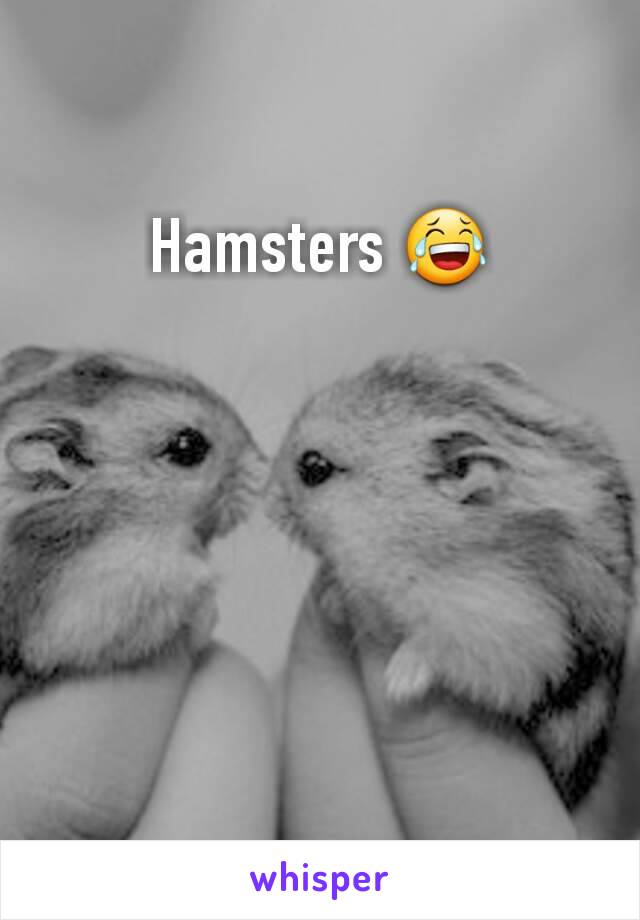 Hamsters 😂





