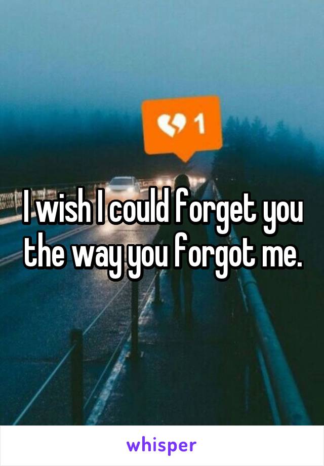 I wish I could forget you the way you forgot me.