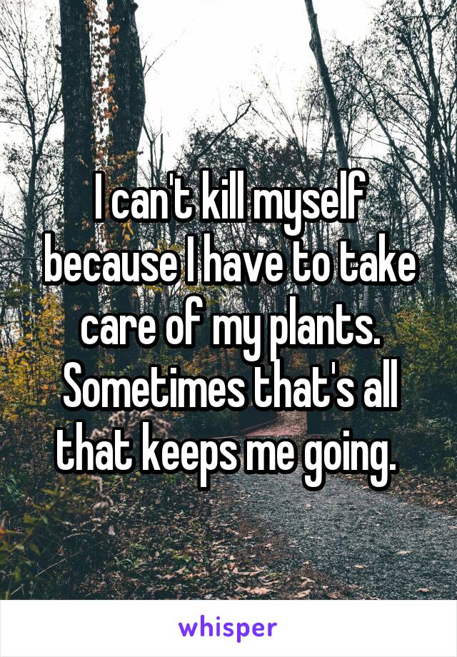 I can't kill myself because I have to take care of my plants.
Sometimes that's all that keeps me going. 