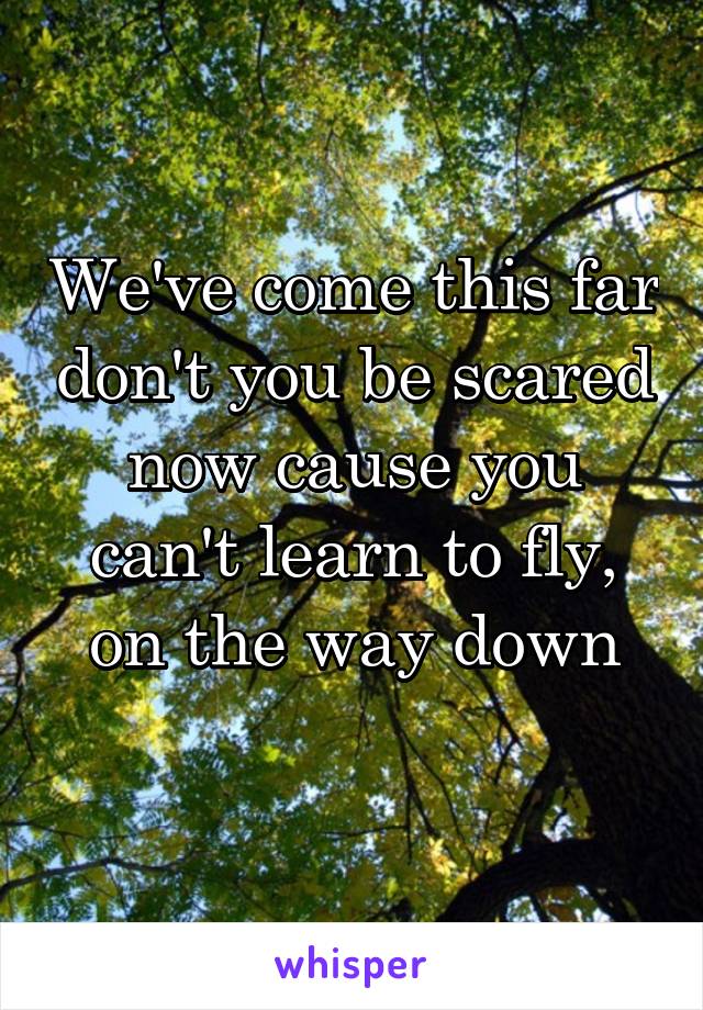 We've come this far don't you be scared now cause you can't learn to fly, on the way down
