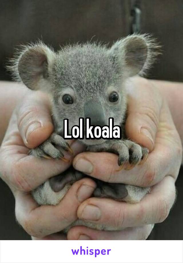 Lol koala