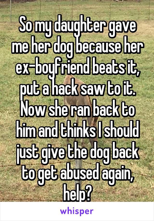 So my daughter gave me her dog because her ex-boyfriend beats it, put a hack saw to it. Now she ran back to him and thinks I should just give the dog back to get abused again, help?