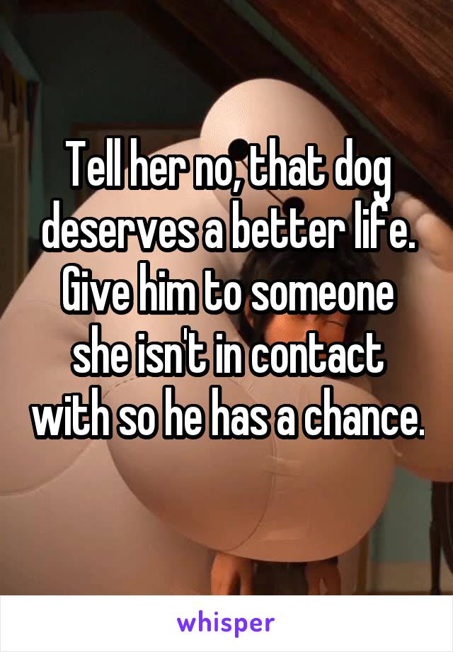 Tell her no, that dog deserves a better life. Give him to someone she isn't in contact with so he has a chance. 