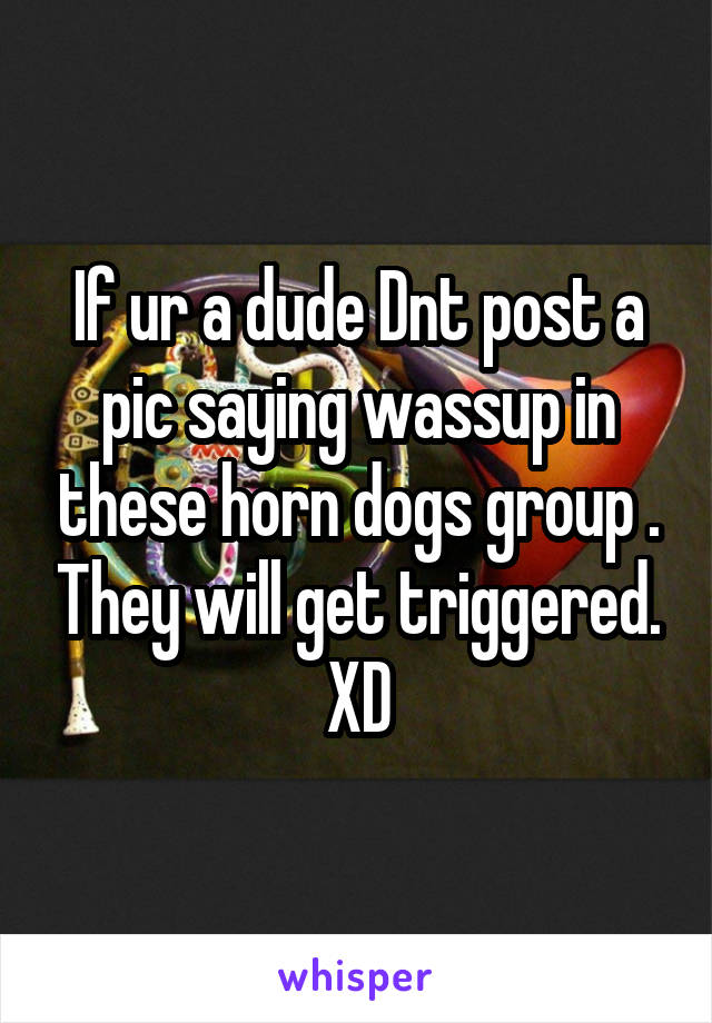 If ur a dude Dnt post a pic saying wassup in these horn dogs group . They will get triggered. XD