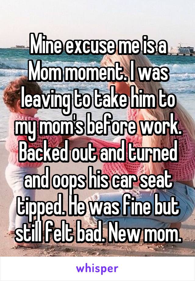 Mine excuse me is a Mom moment. I was leaving to take him to my mom's before work. Backed out and turned and oops his car seat tipped. He was fine but still felt bad. New mom.