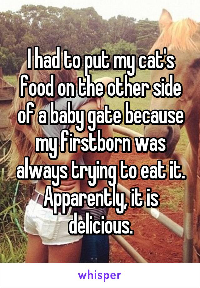 I had to put my cat's food on the other side of a baby gate because my firstborn was always trying to eat it. Apparently, it is delicious.