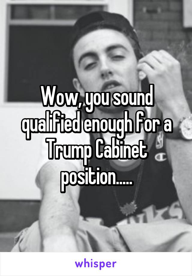 Wow, you sound qualified enough for a Trump Cabinet position.....