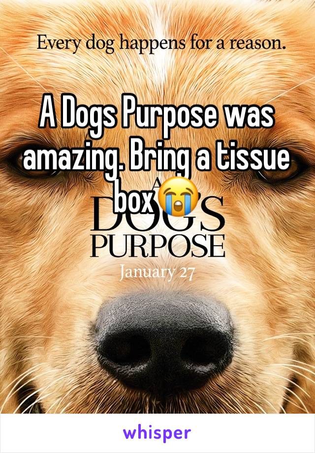 A Dogs Purpose was amazing. Bring a tissue box😭