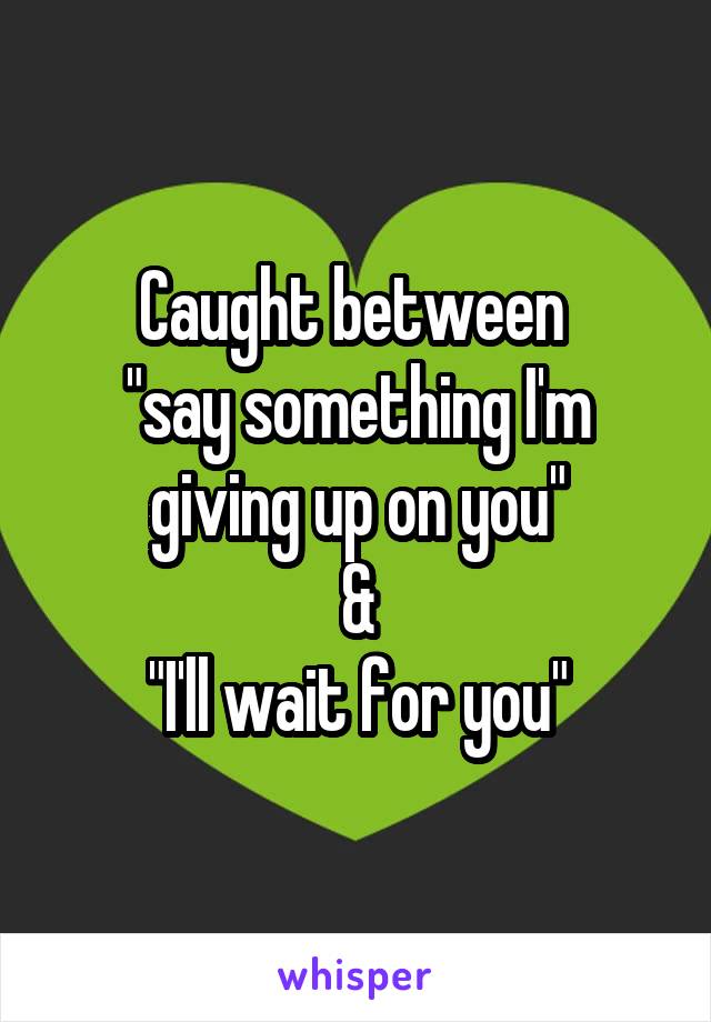 Caught between 
"say something I'm giving up on you"
&
"I'll wait for you"