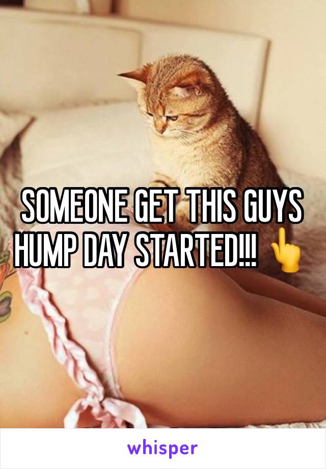 SOMEONE GET THIS GUYS HUMP DAY STARTED!!! 👆