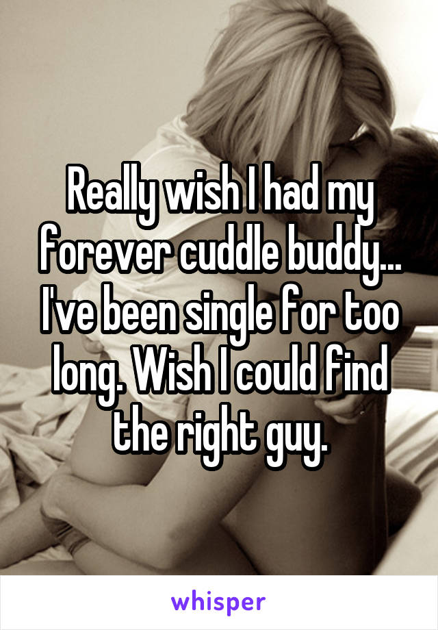 Really wish I had my forever cuddle buddy... I've been single for too long. Wish I could find the right guy.