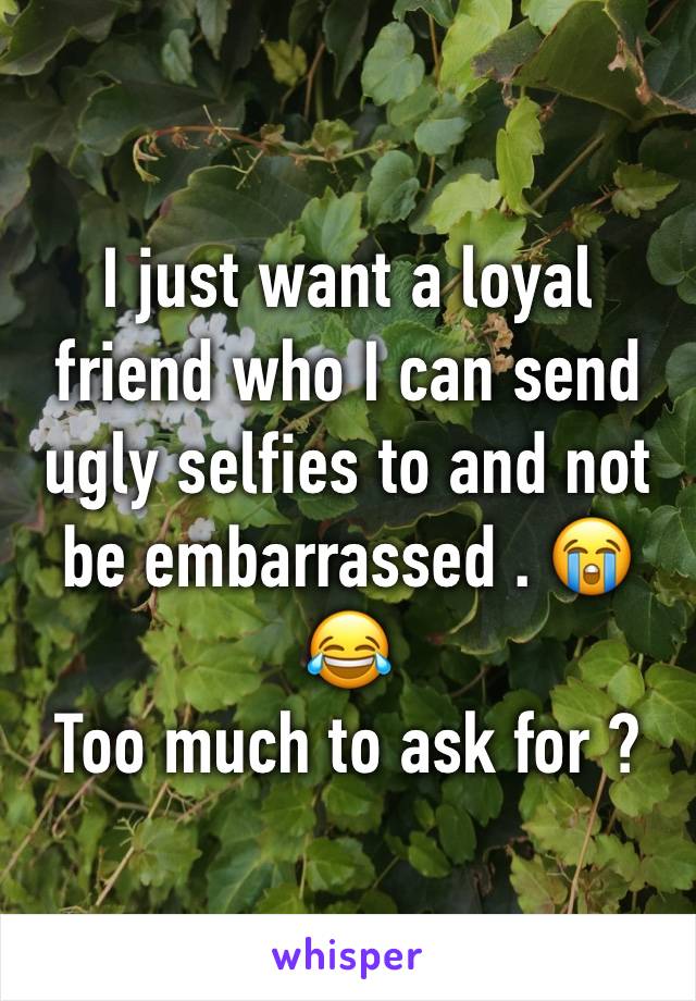 I just want a loyal friend who I can send ugly selfies to and not be embarrassed . 😭😂
Too much to ask for ? 