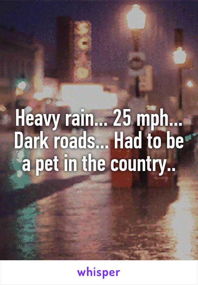 Heavy rain... 25 mph... Dark roads... Had to be a pet in the country..